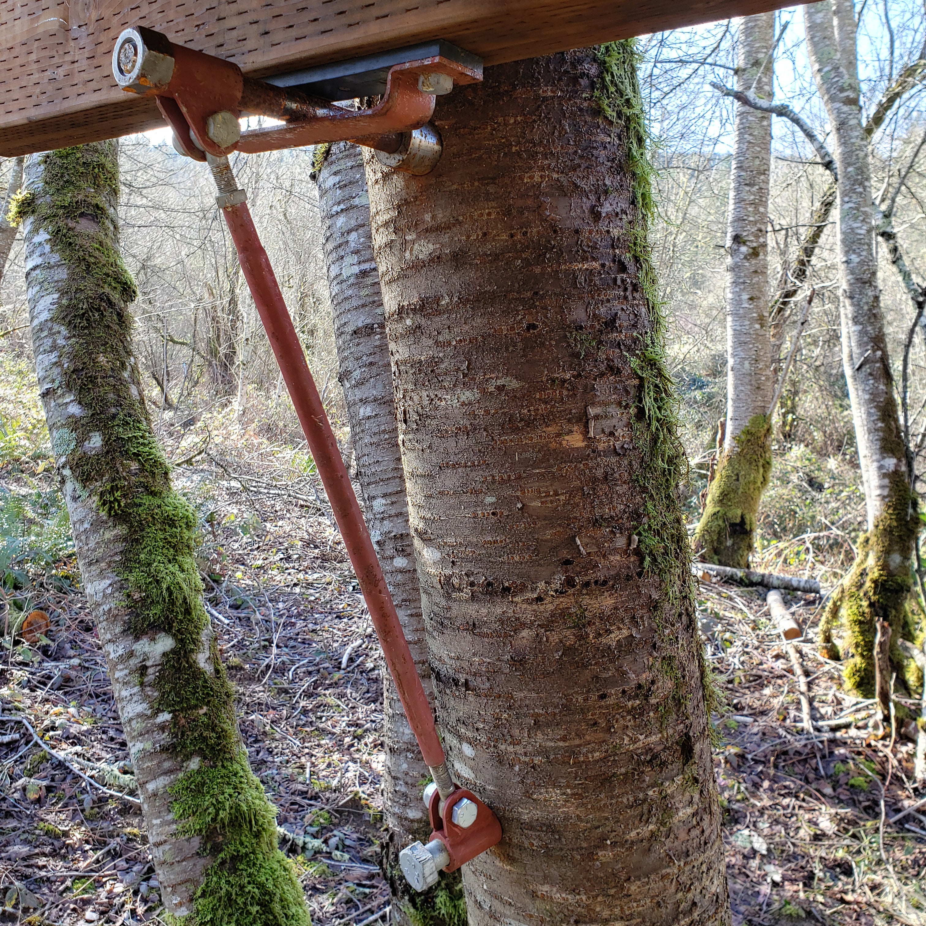 Tree Fort Strut Back Up - Image 6