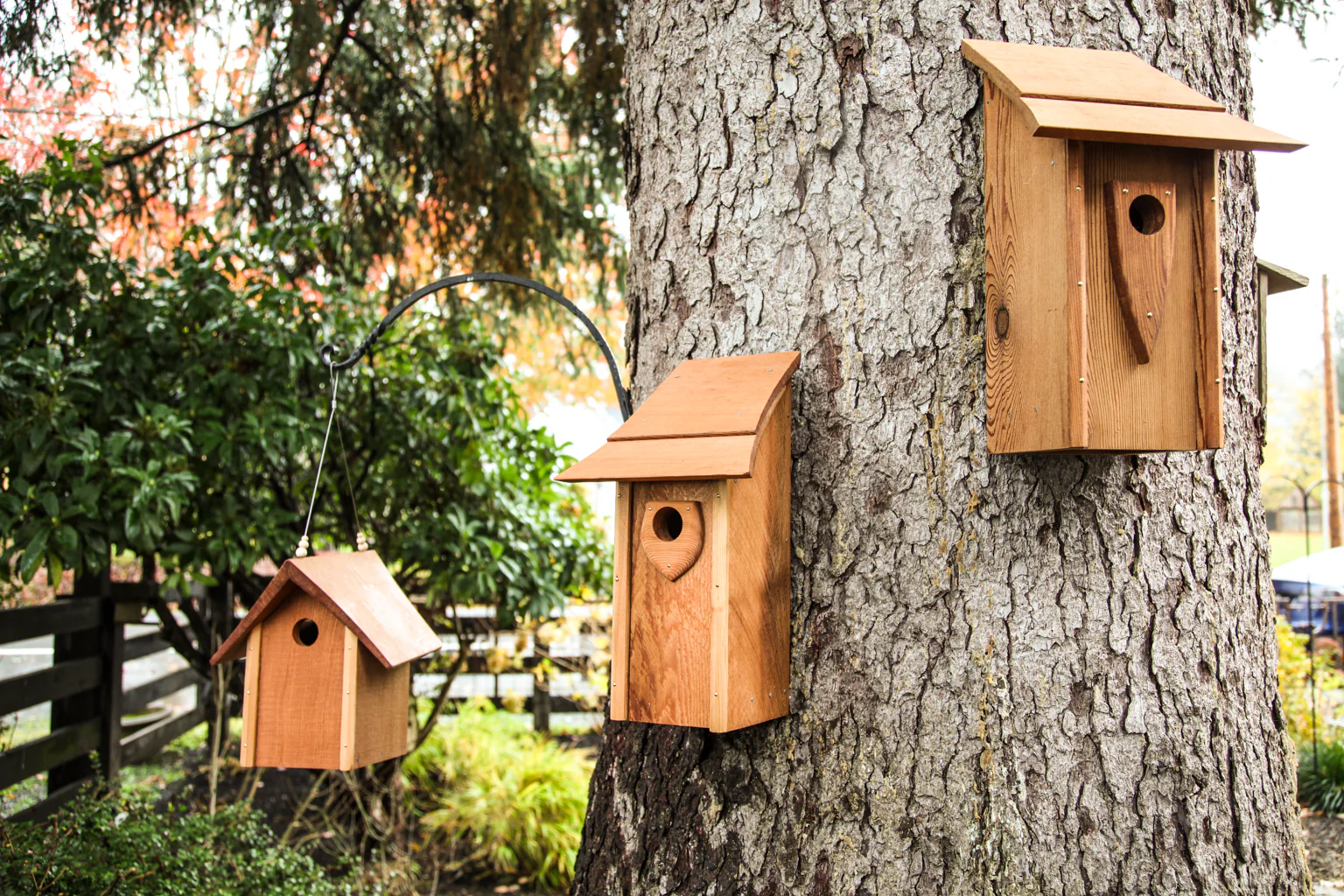 Small Pagoda Birdhouse - Image 3
