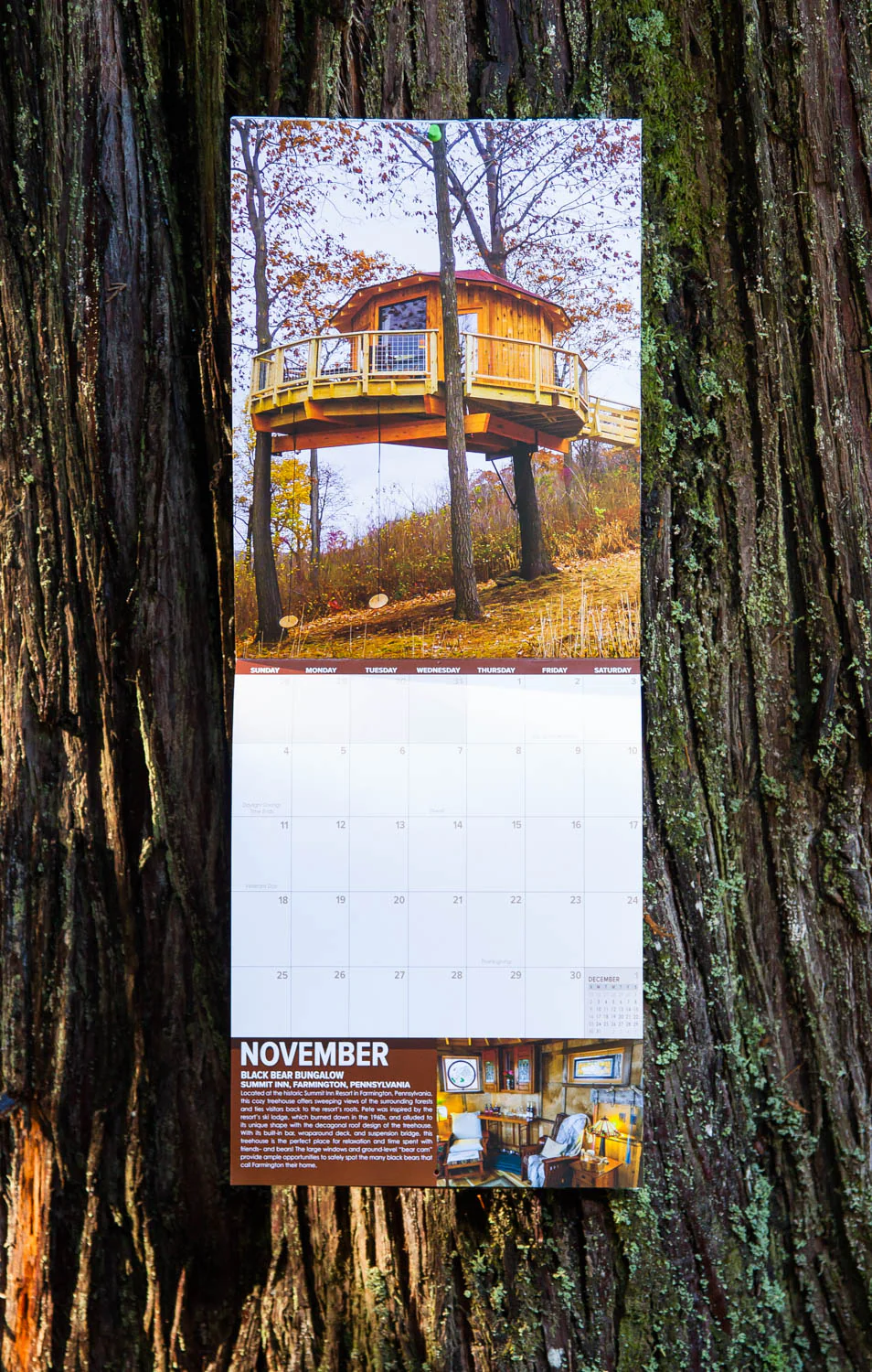 Pete Nelson's 2018 Treehouse Calendar - Image 4