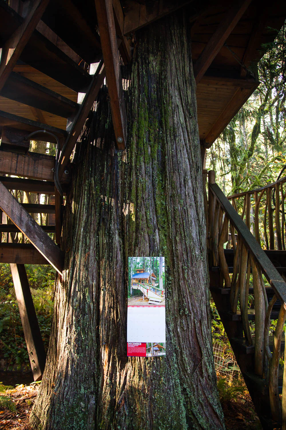 Pete Nelson's 2018 Treehouse Calendar - Image 5