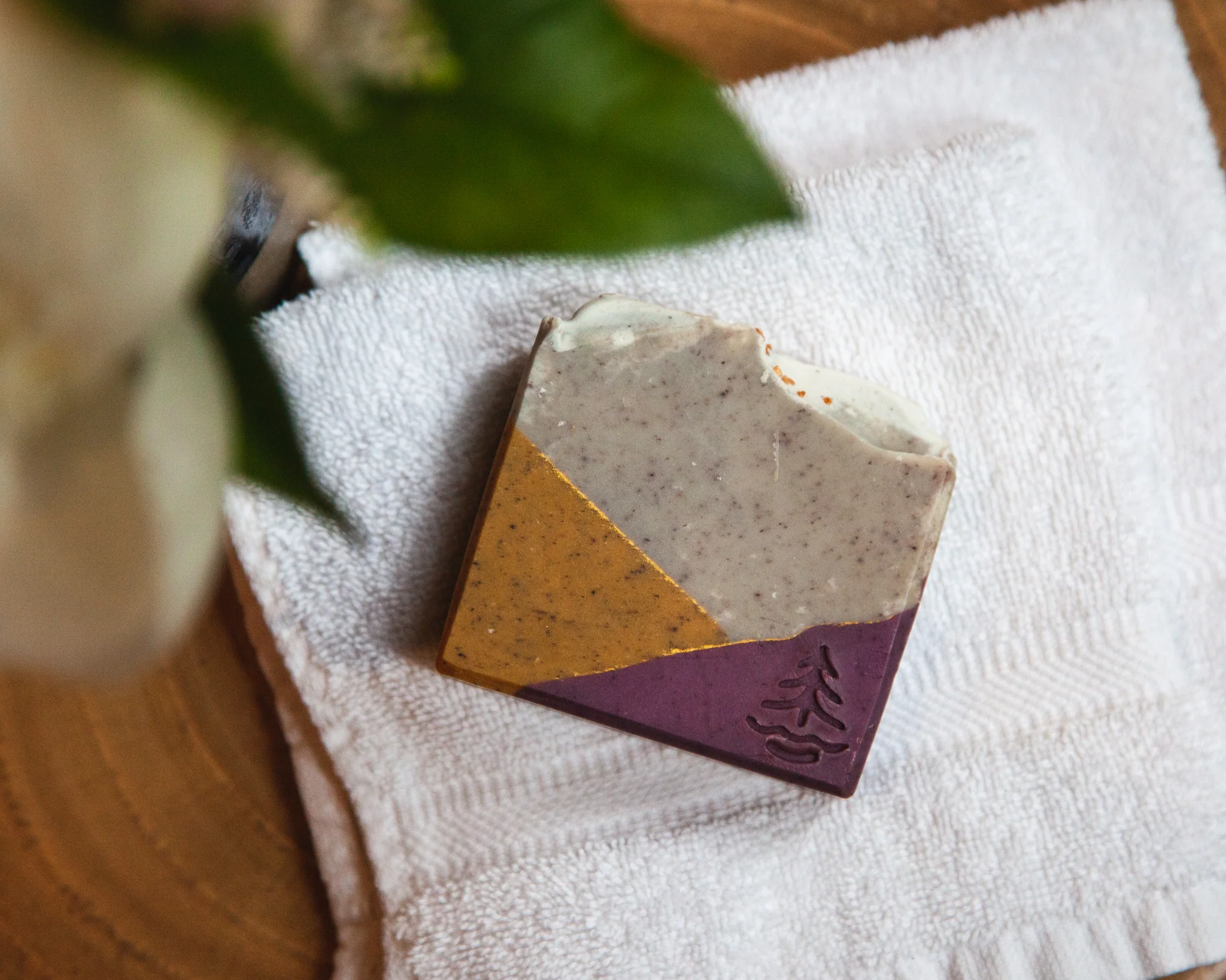 TreeHouse Point Signature Scent Soap - Image 3