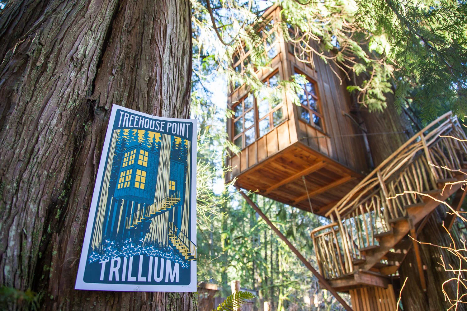 Trillium Poster - Limited Edition - Image 3